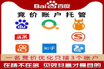 行业领先的SEM竞价广告投放案例
